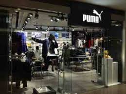 Pumas Organizational Structure Its Characteristics An