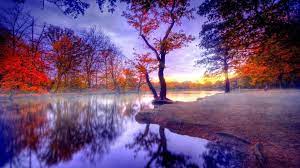 autumn Amazing Nature View HD Wallpaper ...