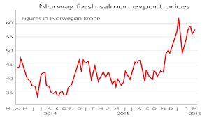 Chart Of The Week Salmon Prices Are Leaping Moneyweek