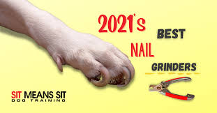 2021 s best dog nail grinders sit