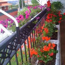 С какви цветя да украсим балконите си. Sled Cvetnica E Vreme Za Dekorirane Na Balkona Infopleven Novini Ot Pleven