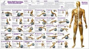 Core Strength Stability Ball Exercises For Core Strength