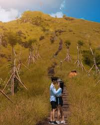 Ini dia rekomendasi 25 tempat wisata di bukittinggi yang bisa kamu kunjungi! 5 Destinasi Wisata Yang Wajib Kamu Kunjungi Di Buleleng Bali