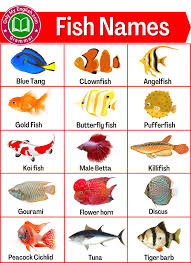 50 fish name in english with pictures