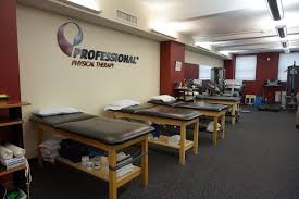 professional physical therapy clinics