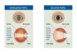 The Importance Of Pupil You Should Know Perrla Eyes
