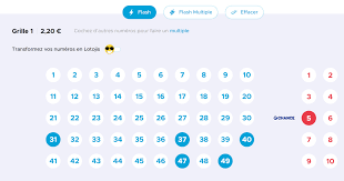 ᐅ Comment jouer au loto en ligne sur FDJ.fr ⇒ mode d'emploi