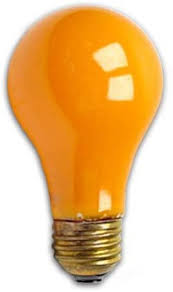 Amazon Com Bulbrite 106560 60a Co Orange 60 Watt A19 Colored Light Bulb Home Kitchen