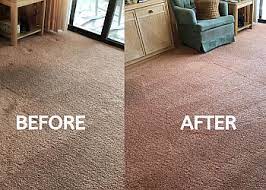 quality care plus carpet cleaning in st