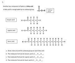 parts of the below lipid molecule