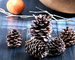 How To Make Scented Pine Cones Hearth