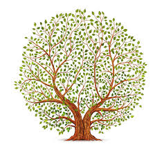 tree drawings to spark your creativity