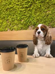 we are a dog friendly coffee and