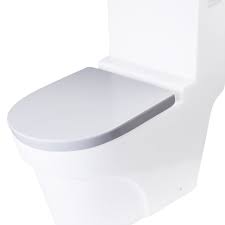 Soft Closing Toilet Seat
