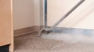 what is steam carpet cleaning