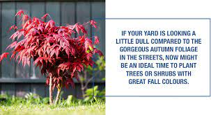 Your Fall Garden Maintenance Checklist