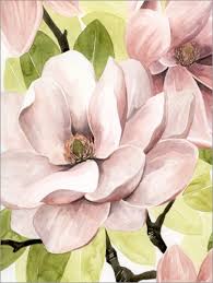 blush magnolia ii posters and prints