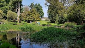 amazing gardens to visit in co wicklow