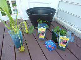 Mini Water Gardens On Your Deck