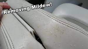 how to get mildew out of vinyl seats