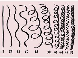 First, wash, condition and allow your hair to air dry. What S My Curly Hair Type And Why Does It Matter Virgo Texture Salon