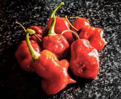 Hottest Peppers In The World 2019 Eating On The Edge