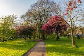 10 best parks in manchester explore