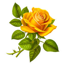 ai generative yellow rose flower