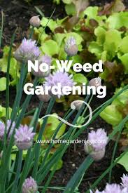 no weed vegetable gardens home garden joy