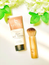 the best organic makeup brushes