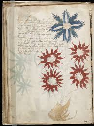 La descarga del libro ya empezó! Manuscrito Voynich Wikipedia La Enciclopedia Libre