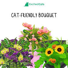 5 cat safe bouquets cat friendly