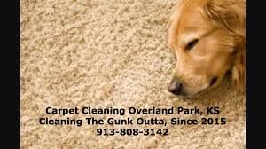 carpet cleaning overland park 12641