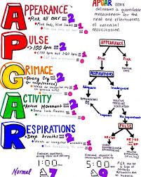 Browse Apgar Images And Ideas On Pinterest