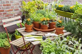 30 best small garden ideas clever
