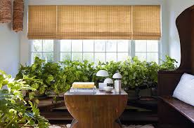 Sunroom Window Treatments Ideas Tips
