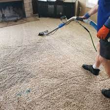 carlson carpet care 69 photos 27