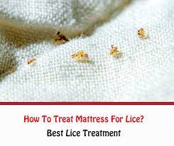 Treat Mattress For Lice