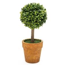 tree pot plants bonsai plant ornament