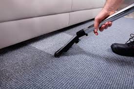 Professional Carpet Cleaning 9