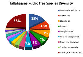 Tallahassees Urban Forest Master Plan Tallahassee Com