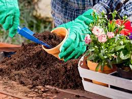 can you use garden soil for containers