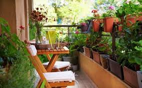 How To Start A Balcony Garden No