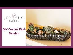 Cactus Arrangement Diy Create Care