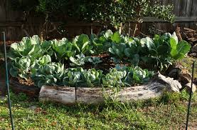 Reuse And Recycle Raised Garden Beds