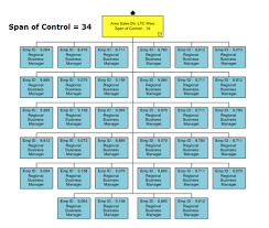 Call Center Org Chart Wide Span Of Control Span Of