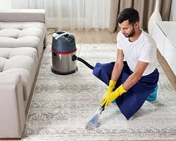 carpet cleaning albuquerque nm bear