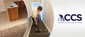 the 8 best carpet cleaning services in