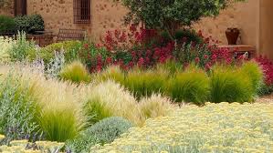 Gräser beeindrucken mit ihrer filigranen transparenz. Graser Im Garten 100 Gestaltungsideen Geben Altem Rasen Neues Flair