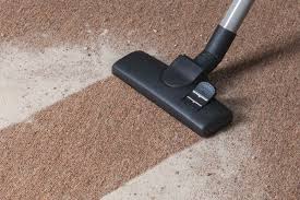 avondale carpet cleaning pros 113 s